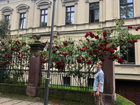 eine rosige Straße (Bild öffnet vergrößert)
