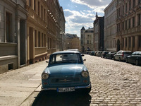 Foto: MLU / Sofia Gómez (Bild öffnet vergrößert)