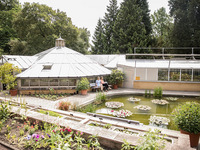 Studienbotschafterin Wiebke Günther (Bild öffnet vergrößert)