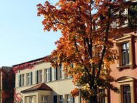 Herbstspaziergang (Bild öffnet vergrößert)
