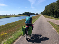 Auf dem Foto sieht man einen Deich, auf dem ein junger Mann mit dem Fahrrad langt fährt. Links neben ihm sind Schafe zu sehen und die Elbe. (Bild öffnet vergrößert)