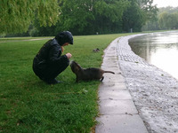 Ein Nutria kommt aus der Fontäne auf der Peißnitz