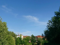 Foto: MLU/ Annemarie Reichenbach (Bild öffnet vergrößert)