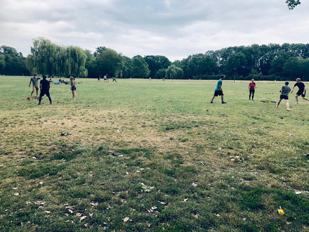 Auf dem Foto sieht man eine von Bäumen umrandete Wiese und mehrere Gruppen junger Menschen, die Spikeball spielen.