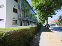 Frohe Zukunft (Bild öffnet vergrößert)