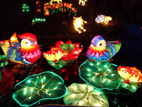 Foto: Zoo Lichterwelten (Bild öffnet vergrößert)