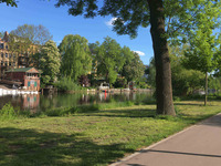 Zu sehen ist der Radweg an der Saale zur Rabeninsel 