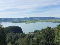 Foto: MLU / Fabian Schulz (Bild öffnet vergrößert)
