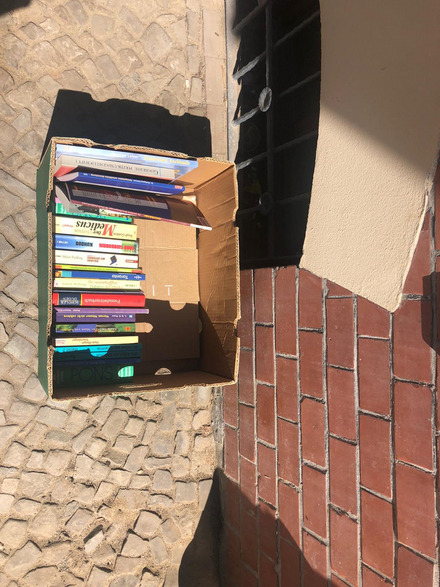 Auf dem Foto sieht man einen Gehweg und eine Häuserkante aus der Vogelperspektive. Dort steht eine Kiste, die mit Büchern gefüllt ist.
