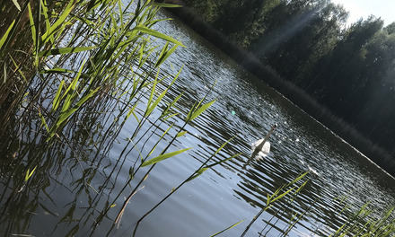 Auf dem Bild ist der Heidesee zu sehen.