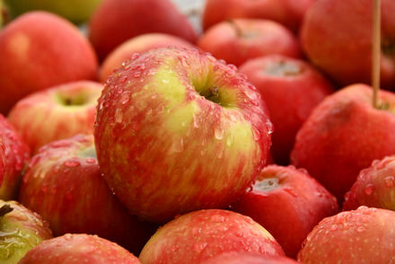 Foto: Ein paar frische Äpfel. 