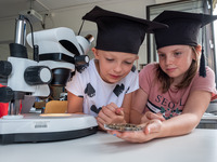 Thema Insekten (Bild öffnet vergrößert)
