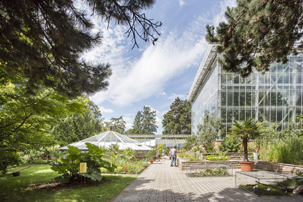 Foto: MLU / Matthias Ritzmann Foto: Botanischer Garten der MLU