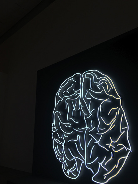 Zu sehen ist eine LED-Abbildung eines Gehirns an einer Wand.