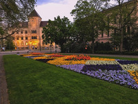 Foto: MLU / Sofia Gómez (Bild öffnet vergrößert)