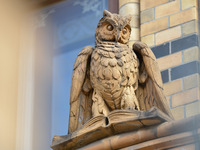 Blick auf die über dem Portal der Hauptbibliothek thronenden Eule aus Sandstein.