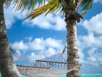 Zu sehen ist eine Hängematte am Strand. Sie symbolisiert Urlaub und Entspannung.