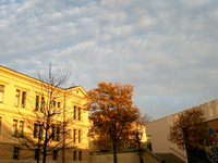 Goldene Stunde auf dem Uniplatz (Bild öffnet vergrößert)