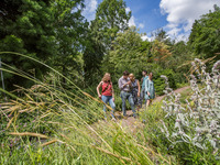 Studierende erkunden den Botanischen Garten. Sie stehen inmitten blühender Wiesen und betrachten eine Blüte von Nahem.