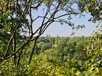 Giebichensteinviertel (Bild öffnet vergrößert)