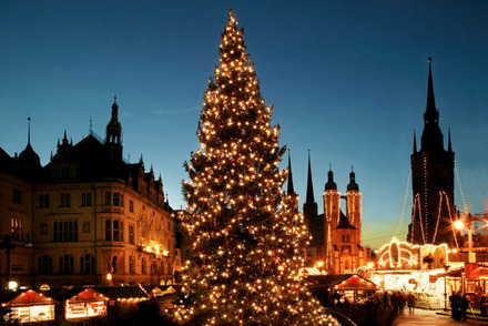 Zu sehen ist der große Weihnachtsbaum auf dem Weihnachtsmarkt in Halle.