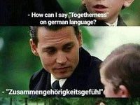 - (Bild öffnet vergrößert)