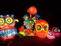 Foto: Zoo Lichterwelten (Bild öffnet vergrößert)