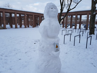 Foto: MLU / Stefan Jaschik (Bild öffnet vergrößert)