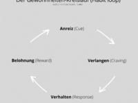 Der Gewohnheiten-Kreislauf; so entsteht eine Gewohnheit (Bild öffnet vergrößert)