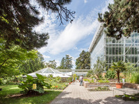 Das Foto zeigt die historischen Gewächshäuser und die Wasserbeete im Botanischen Garten der Uni Halle.