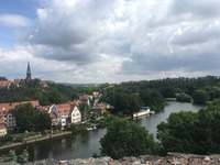 Foto: MLU / Jonas Dahmen (Bild öffnet vergrößert)