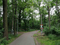 Foto: MLU / Stefan Jaschik (Bild öffnet vergrößert)