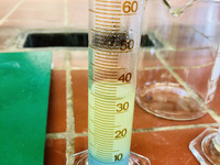 Foto: Hier siehst du nun wie sich die Farben der Lösungen während der Titration ändern. (Bild öffnet vergrößert)
